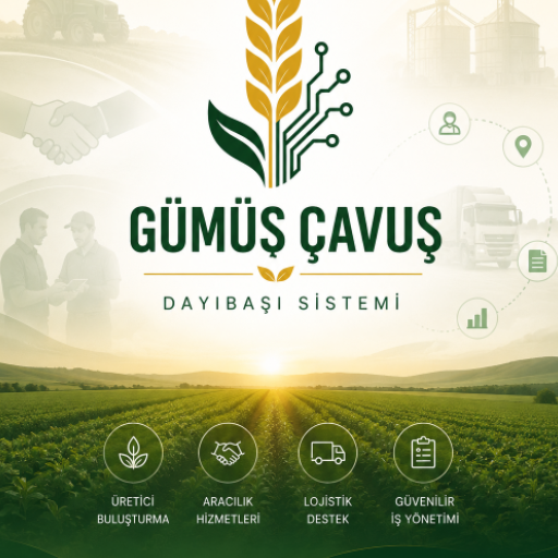 Gümüş Çavuş